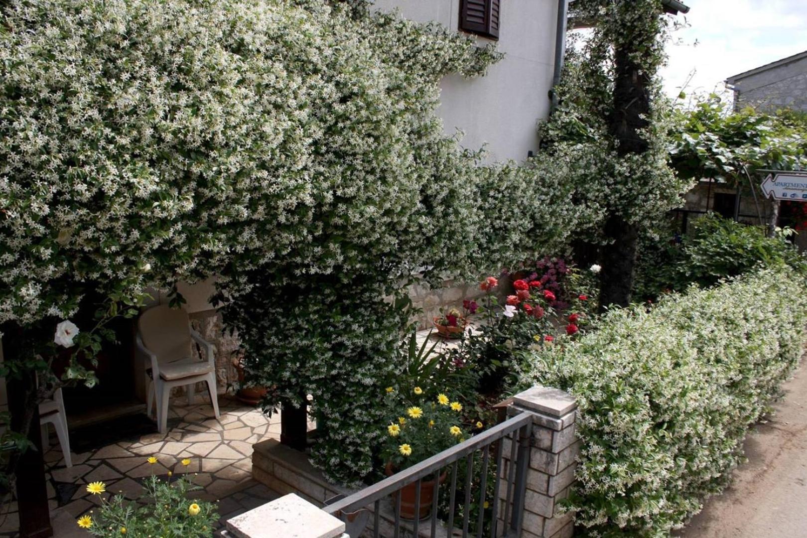 Anamarija Apartments Near The Beach And The Fantastic Adria Sea With Over 10 Small Islands Close By Funtana Luaran gambar